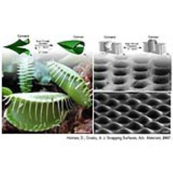 Lenses that can snap between convex and concave when triggered